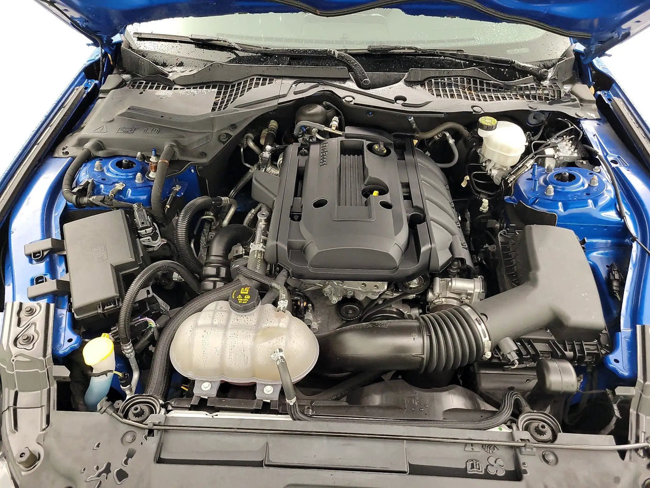 2019 Mustang Ecoboost